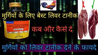 मुर्गियों को लिवर टानीक कैसे दे | murgi ka liver tonic | livar tanik ke fayde #livar_tonik