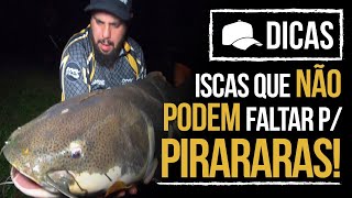 AS MELHORES ISCAS PARA PIRARARAS EM PESQUEIRO