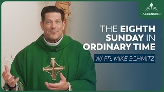 Eighth Sunday in Ordinary Time - Mass with Fr. Mike Schmitz