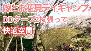 嫁と桜と焚き火でお花見デイキャンプ  DDタープを２枚張って快適空間