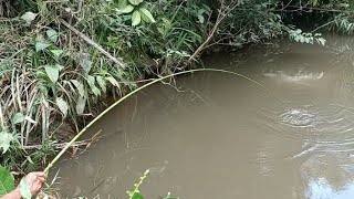 BIKIN GEMETARAN‼️TANGAN DI TARIK IKAN BESAR SAMPAI HAMPIR PATAH JORAN NYA MAS BRO