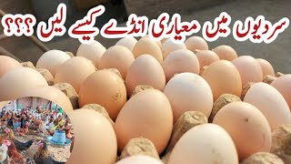 How to Produce Quality Eggs in Winter | Egg Quality Problems and Solutions | Dr. ARSHAD