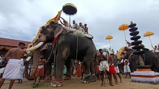 Chirakkal Kalidasan at Thuravoor Ulsavam 2019