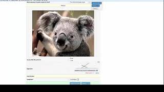 REDCap Advanced Tutorial: Double Data Entry