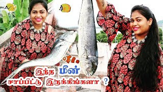 இந்த மீன் சாப்பிட்டு இருக்கீங்களா ?? | இந்த மீன்ல இப்படி செய்து பாருங்க , மிக சுவையாக இருக்கும் !!!