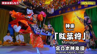 🌀宮乃木６連発🎆🍁「紅葉狩り絶景ポイント」なり👹神楽「紅葉狩」宮乃木神楽団📢上原八幡神社秋祭②📅2024年10月12日📢また紅葉姫等が変わり団層の厚さを実感するなり🚄取り急ぎ無編集右サイドカメラ重点版