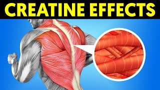 What Happens To Your Body When You Take Creatine Every Day For Muscle Gain