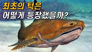 턱의 기원과 진화｜우리는 어떻게 물고, 뜯을 수 있게 됐을까?