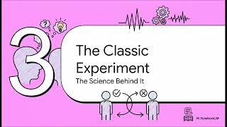The Framing Effect: How Presentation Shapes Decisions and Perception