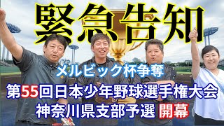 緊急告知！メルビックがスポンサーに！？日本少年野球 選手権大会開幕！