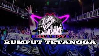 DJ RUMPUT TETANGGA JOGET FVNKY 2019 (DJ BABY ZELLA REMIX)