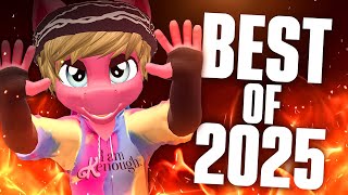 2 hours and 23 minutes of the CRINGIEST vrchat crashouts