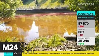 Загрязнение в Химкинском водохранилище в тысячу раз превысило норму из-за нефтеразлива - Москва 24