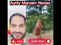 Maryam Nawaz letest funny video #shorts #viral #tiktok