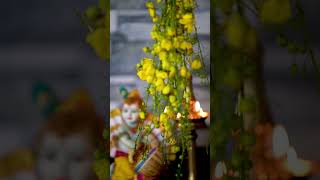 വിഷു ആശംസകൾ Vishu wishes #vishu #greetings #kerala #wishes #firework #festival #india #celebration