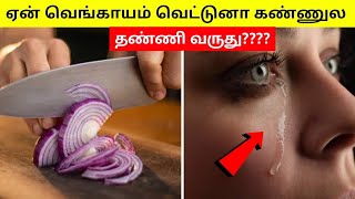 😭 ஏன் வெங்காயம் வெட்டுனா கண்ணுல தண்ணி வருது | Why does cutting an onion bring tears? | #shorts