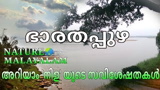 ഭാരതപ്പുഴയുടെ ഉത്ഭവം | അറിയാം ഈ നദിയെ കുറിച്ച് | Bharathapuzha River