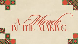 Miracle in the Making - Part V