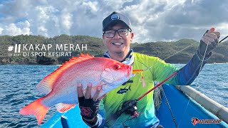 Wow.. Kakap merah nyasar di kesirat karang dangkal pake jig Kanzo 80 gram