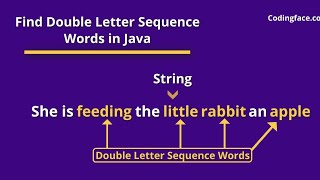 Java program to count double sequence characters from a given String