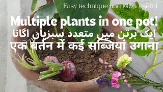 एक बर्तन में कई सब्जियां उगाना l Use pot space wisely and grow multiple vegetables in one pot