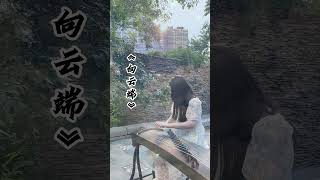 还能赶上#向云端 的小尾巴吗~