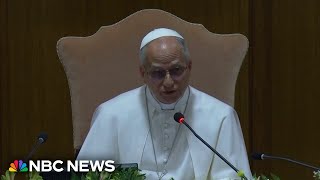Pope Leo issues new warning on artificial intelligence