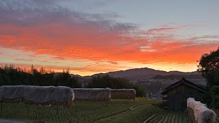 加賀田　夜明け