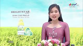 TỌA ĐÀM BRIGHTSTAR 25SC: GIẢI PHÁP CHỐNG ĐỔ NGÃ TỐI ƯU, BẢO VỆ AN TOÀN LÚA HÈ THU