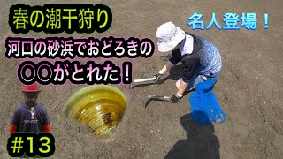 【春の潮干狩り】 河口の砂浜で〇〇が採れた！