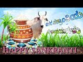 sankranti status video kannada sankranti status