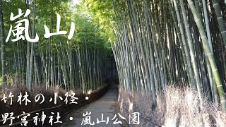 【2022年秋　京都・滋賀#60】嵐山（竹林の小径・野宮神社・嵐山公園）（京都府京都市 Kyoto City, Kyoto, Japan）