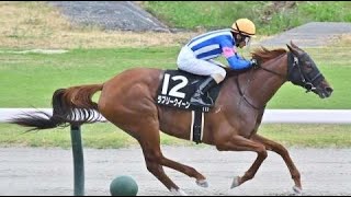 古町S 　ダ1800m (左)　ラブリークイーン　牝5　52.0　柴田善臣　2023.9.2　　出走馬：アナンシエーション、フルオール、ホウオウルーレット、フームスムート、スズカマクフィ他