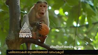 Unknown diseases Monkeys death in Vallikkattu Kavu