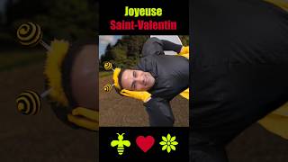 Joyeuse Saint-Valentin les amis