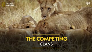 The Competing Clans | Savage Kingdom | हिन्दी | Full Episode | S3-E5 | National Geographic