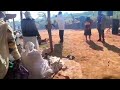 AFC mugodhi...makanaka MWEYA MUTSVENE 🎤🎤🎤