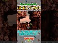 ポンコツロケットでゴー逆走してみた【スーパードンキーコング3】 shorts