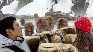 Breathtaking! A Snowy Hot Spring with Wild Monkeys in Japan 🇯🇵❄️♨️