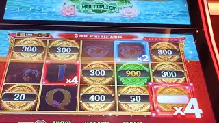 CON 10€ GANE 100€ FU FROG FOOD TRAGAPERRAS #casinogame #bigwin #slotjackpot #slotmachine #dragonlink