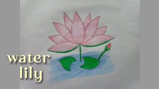 How to draw water lily step by step for kids | easy water lily drawing