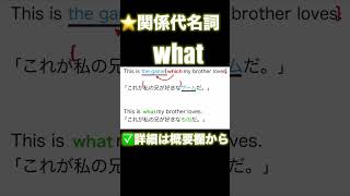 【高校英語 ざっくり！文法概要編】第82回 関係代名詞 what #英文法 #関係代名詞  #what