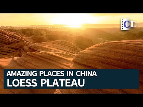 Where do most loess deposits come from?