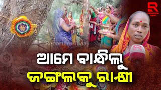 ଜଙ୍ଗଲ ଆମ ଭାଇ, ଦେଉଛି ଆମକୁ ସୁରକ୍ଷା, ଆମେ ବାନ୍ଧୁଛୁ ରାକ୍ଷୀ