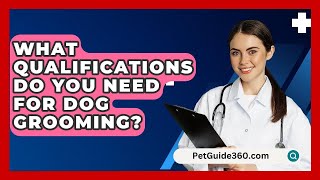 What Qualifications Do You Need For Dog Grooming? - PetGuide360.com