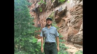 Mexican Spotted Owls at Zion