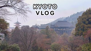 2024년 1월 - 엄마와 함께 5박 6일 일본 오사카&교토 여행 VLOG (2) | 교토 여행 | 순덕씨 브이로그