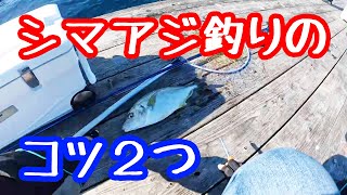 【海上釣堀】シマアジ釣りの注意点２つ【みうら海王】