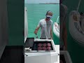 BBQ ON A YACHT IN THE BAHAMAS #belowdeck #privatechef #sail #sailing #yachtie