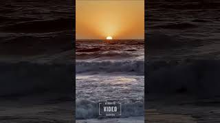 Ocean \u0026 Sunset Vibes - October 28, 2024